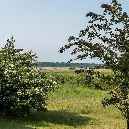 Am Wiecker Bodden Wieck