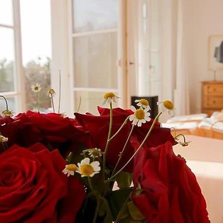 Casa vacanze Am Wiecker Bodden *