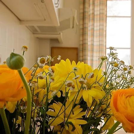 Am Wiecker Bodden * Wieck