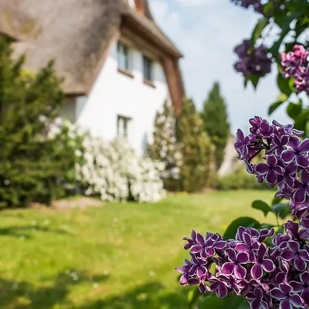 Am Wiecker Bodden Wieck