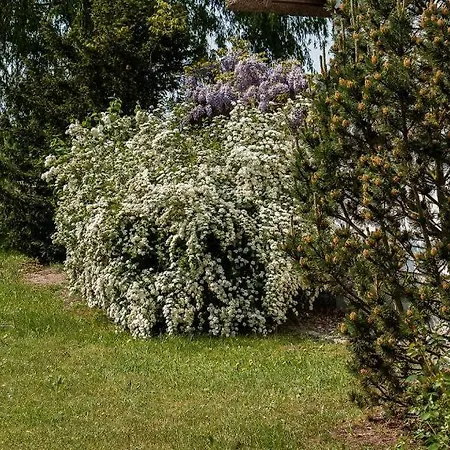 Casa vacanze Am Wiecker Bodden *