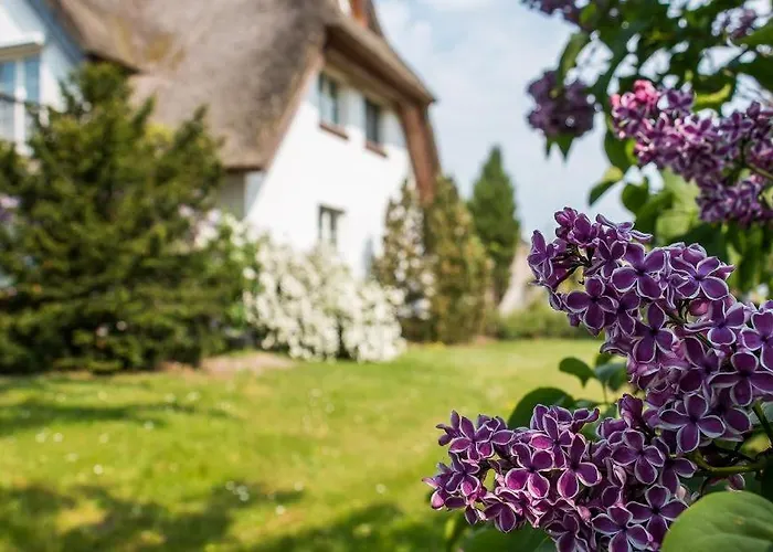 Am Wiecker Bodden Wieck