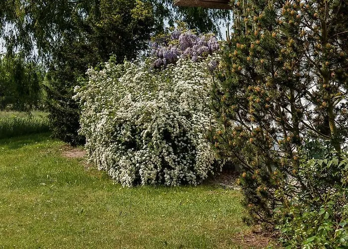 Сasa de vacaciones Am Wiecker Bodden *